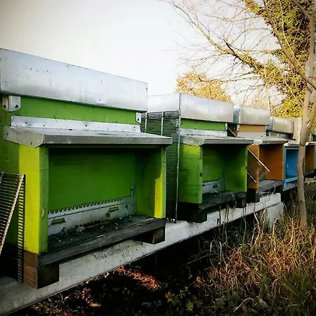 Panzió Honey Farm *