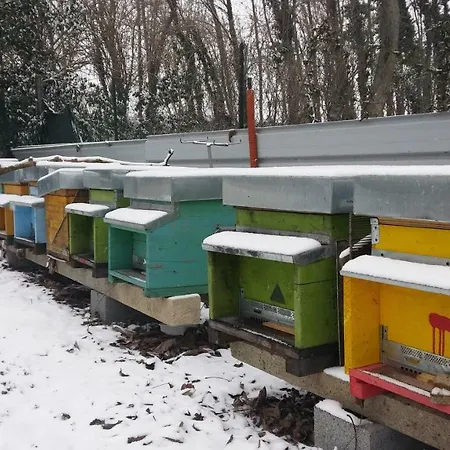 Honey Farm ピアッツォーラ・スル・ブレンタ