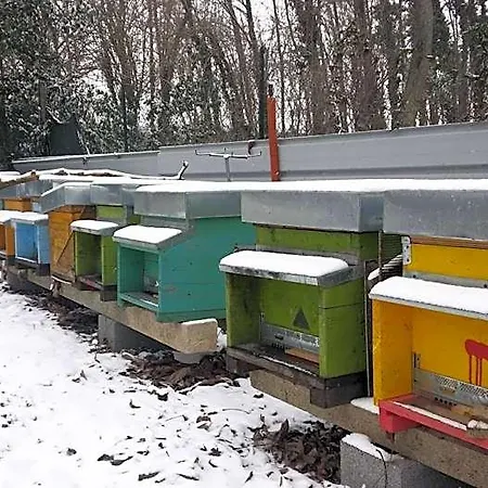 Honey Farm Bed & Breakfast Piazzola sul Brenta